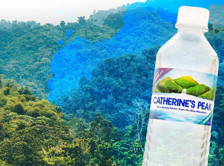 GraceKennedy Acquires 100% of Catherine’s Peak